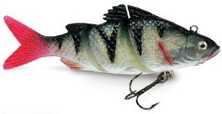 0001_Storm_Live_Kickin__Perch_10_cm.jpg 0001_Storm_Live_Kickin__Perch_10_cm.jpg