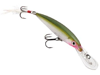 Rapala_X-Rap_Deep_10_cm.jpg Rapala_X-Rap_Deep_10_cm.jpg