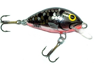 Salmo_Tiny_3_cm.jpg Salmo_Tiny_3_cm.jpg